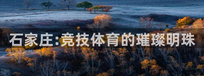 bbin视讯