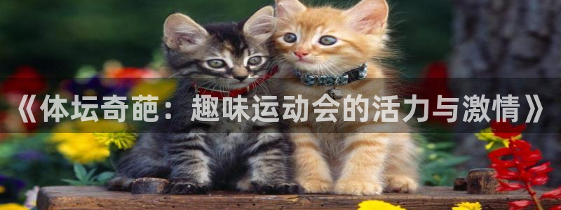 bbin视讯游戏官网