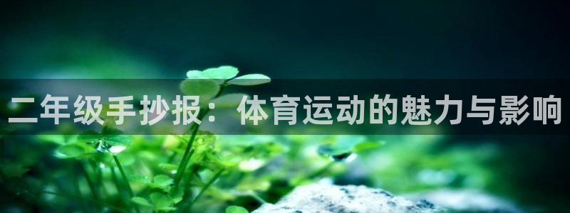 bbin视讯游戏官网