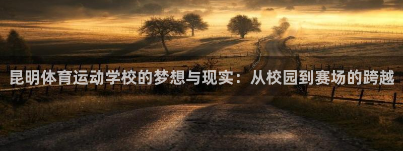 bbin视讯下：昆明体育运动学校的梦想与现实：从校园到赛场的跨越