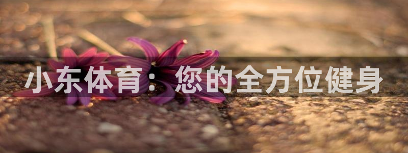 bbin视讯游戏平台：小东体育：您的全方位健身