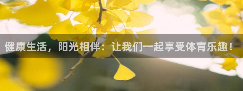 bbin视讯下