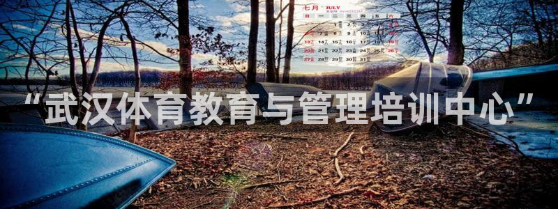 bbin视讯游戏平台：“武汉体育教育与管理培训中心”