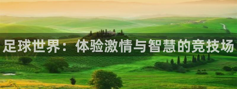 bbin视讯下：足球世界：体验激情与智慧的竞技场
